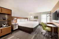 Four Points by Sheraton Alexandria Hotels near Zales