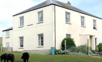 Lamphey Studios