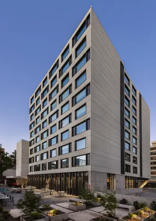 Ola Santiago Providencia, Tapestry Collection by Hilton