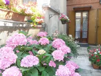 B&B la Nara Hotels in Venaria
