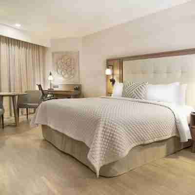 MS Milenium Monterrey, Curio Collection by Hilton Rooms