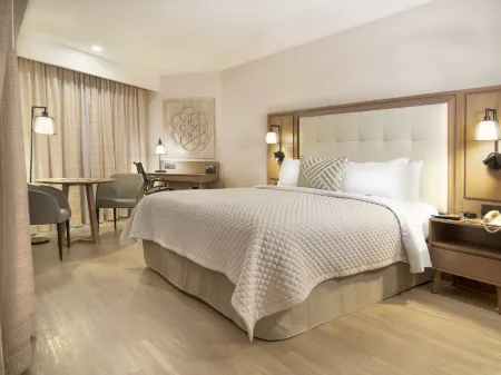 MS Milenium Monterrey, Curio Collection by Hilton