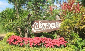 Phu Pai Mork Resort - Housity
