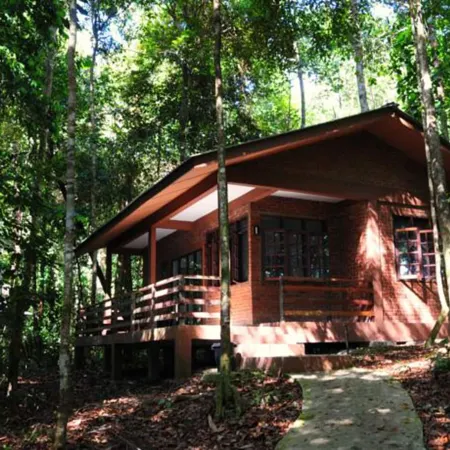 Permai Rainforest Resort