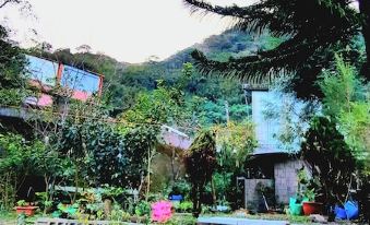 Nasun bed and breakfast