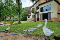 Yeongwol Sweet House Hotel a Yeongwol-gun