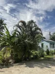 Fox Homestay Apartment Hotels near Fiji Museum