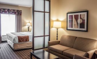 Comfort Suites Charleston West Ashley