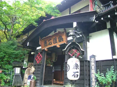 Akaishi Onsen Hotels near Minobusan Kuonji Temple