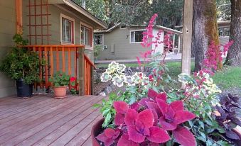 a wooden deck with potted plants and flowers , set against a backdrop of houses and trees at China Creek Cottages