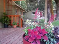 China Creek Cottages Hotels in Willow Creek