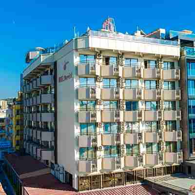 德里奇酒店 Hotel Exterior