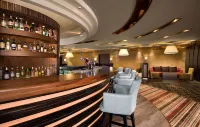 丹海法全景酒店 - 酒吧