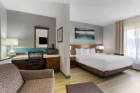 Comfort Suites Kodak Sevierville - Lemmikkieläimet sallittu
