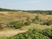 "Jonce" - 250m from the Sea