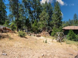 Manzanita Cabin