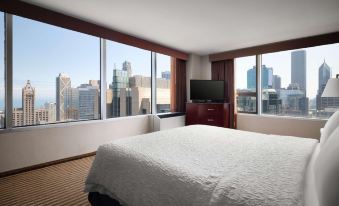 Hampton Inn Chicago Downtown/Magnificent Mile