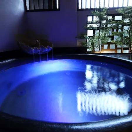Kinosaki Onsen Ichidaya