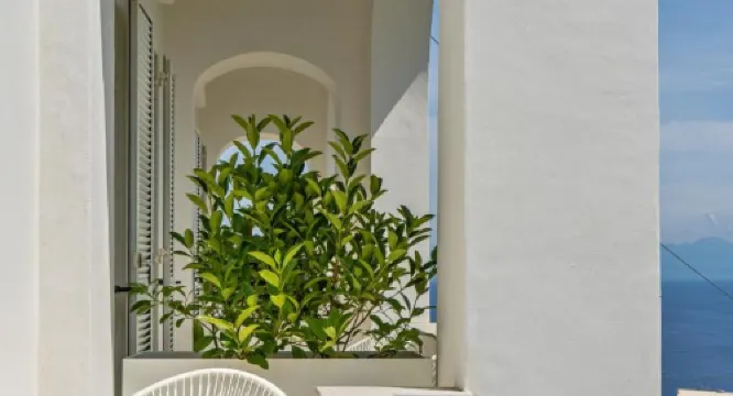 Villa la Pergola Capri Area Publik Photos