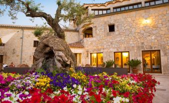 Monnaber Nou Finca Hotel & Spa - Housity