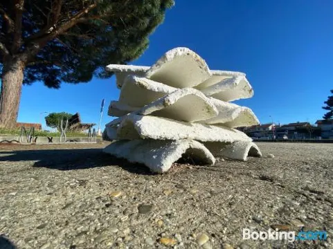 路易斯安納巴森阿爾卡雄別墅