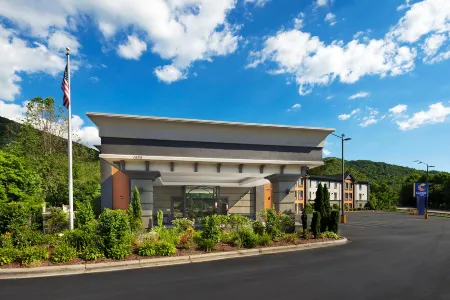 Comfort Inn Asheville East-Blue Ridge Pkwy Access Отели в г. Суоннаноа