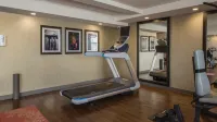 홀리데이 인 위니펙 사우스 바이 IHG - 피트니스 시설