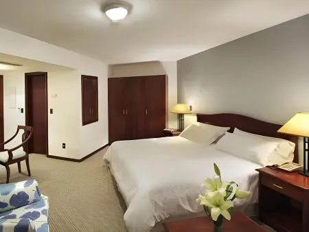 Palladium Business Hotel