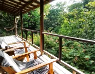 Treetop Cottage Escape in Tropical Garden Near San Ignacio - Apartments