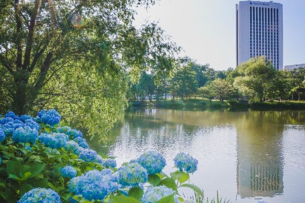 호텔 선루트 삿포로(Hotel Sunroute Sapporo)_3