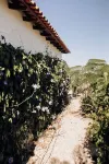 Paradise Ranch Hotels near Capital da Chapada dos Veadeiros