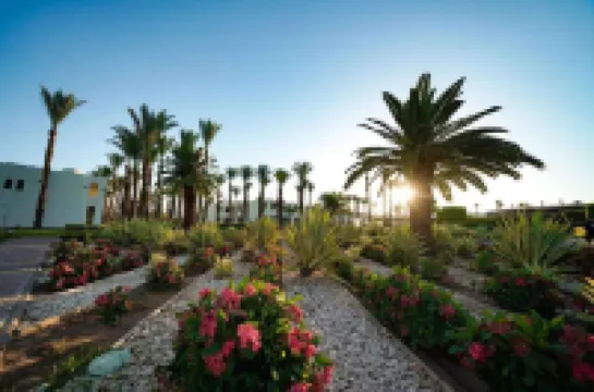 Sentido Reef Oasis Aqua Park Resort Hotels near OLD EGYPT