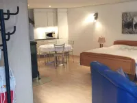 Studio Poli Hotels in Zweisimmen