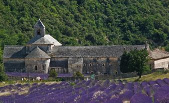 Cosy Villa with Pool Near the Village of Gordes - by Feelluxuryholidays