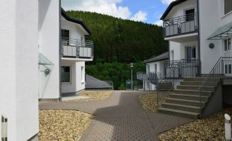 Holiday Home in the Centre of Willingen with View