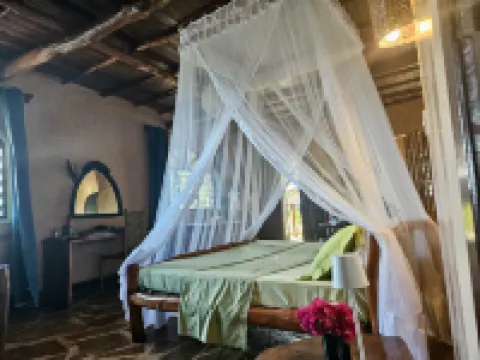 Colobus Suite of 40m2 in Villa 560 m2, View of the Indian Ocean Hotels in 