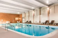 Comfort Inn & Suites Omaha Central - Kolam Renang
