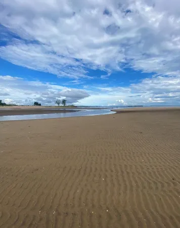 Beautiful, Spacious, Beachfront Home - Perfect for Entertaining Family & Friends