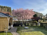Apartment with fireplace on the Rennsteig in the Thuringian Forest Hotels in Friedrichroda