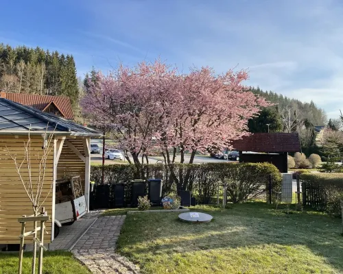 Apartment with fireplace on the Rennsteig in the Thuringian Forest Hotels in Friedrichroda