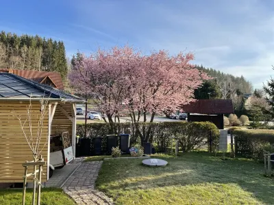 Apartment with fireplace on the Rennsteig in the Thuringian Forest Hotels near Marienglashoehle Friedrichroda