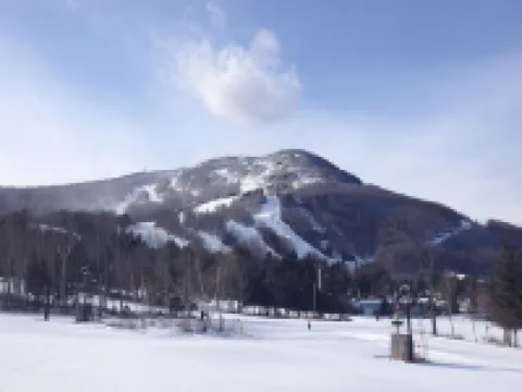 Private Chalet less than 1 mile to  Ski Resort ハンターのホテル