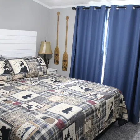 Lake View cottage, secluded, quiet, total remodel, 3 king beds