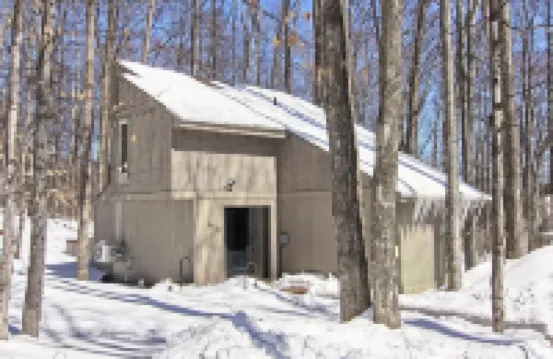 Contemporary Hideaway at Schuss Village at Shanty Creek