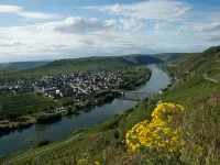 Ruhig Gelegenes Ferienhaus mit Sauna Direkt an der Mosel 特里滕海姆住宿飯店