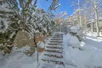 Modern, MTN Retreat w/ Fireplace, Pool, Hot Tub, Steps to Snowmass Base Village Hotels in Snowmass Village