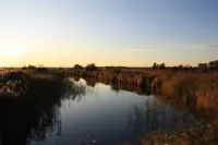 5min beach & forest, sunny, single storey