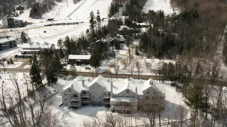 Modern Mount Snow Gnarvana - Balcony, Pet-Friendly, Walk to Hiking