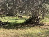 Peaceful, Family and Pet-Friendly Duplex in a Cut-De-Sac with Abundant Wild Life
