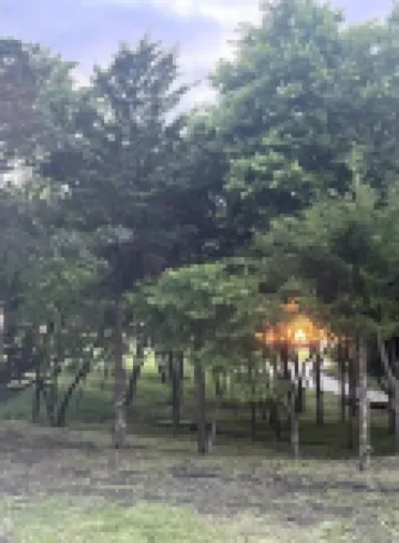 Cuddly Critters Cottage - Alpacas, Goats, Emu's and YOU!